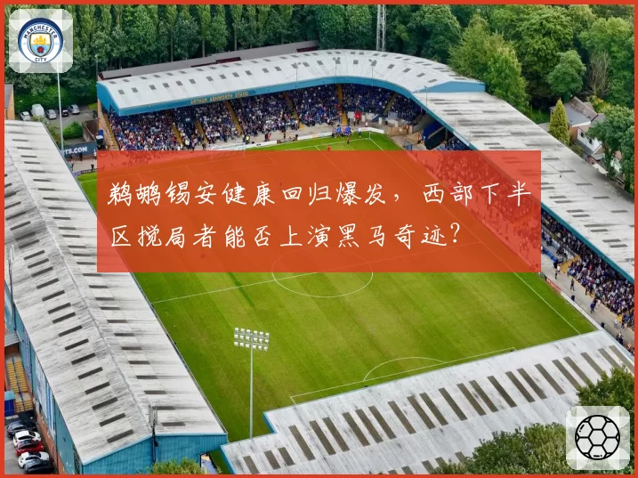 鹈鹕锡安健康回归爆发,西部下半区搅局者能否上演黑马奇迹?