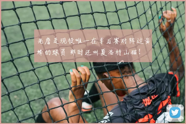 老詹是现役唯一在季后赛对阵过黄蜂的球员 那时还叫夏洛特山猫！