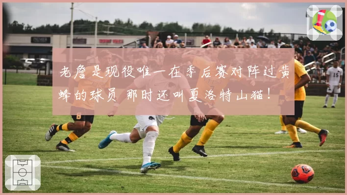 老詹是现役唯一在季后赛对阵过黄蜂的球员 那时还叫夏洛特山猫！