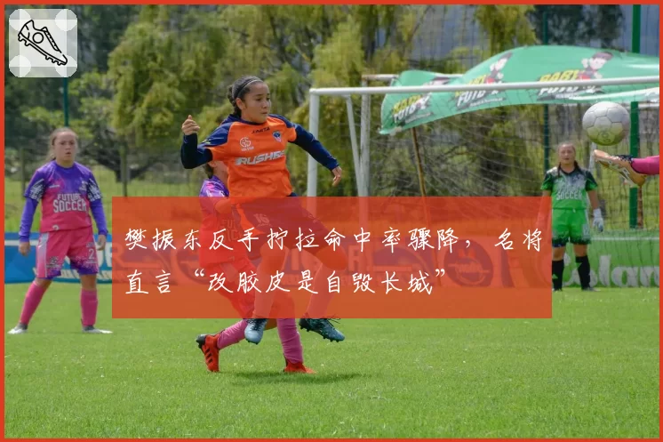 樊振东反手拧拉命中率骤降,名将直言“改胶皮是自毁长城”
